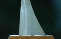 De Euregio Maas-Rijn wordt tweede in de Sail of Papenburg Award