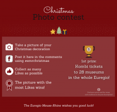 Facebook Weihnachtsfotowettbewerb 2020 - Terms and Conditions