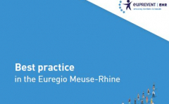 Vademecum „Crossing borders in Health&quot;