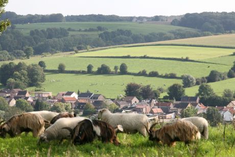 (c) Provincie NL Limburg
